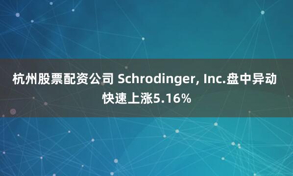 杭州股票配资公司 Schrodinger, Inc.盘中异动 快速上涨5.16%