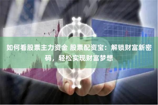 如何看股票主力资金 股票配资宝：解锁财富新密码，轻松实现财富梦想