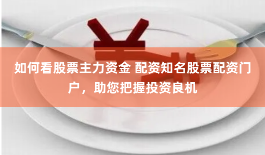 如何看股票主力资金 配资知名股票配资门户，助您把握投资良机